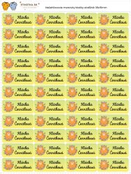 Nažehľovacie menovky Mačky obdĺžnik 35x15mm/44ks